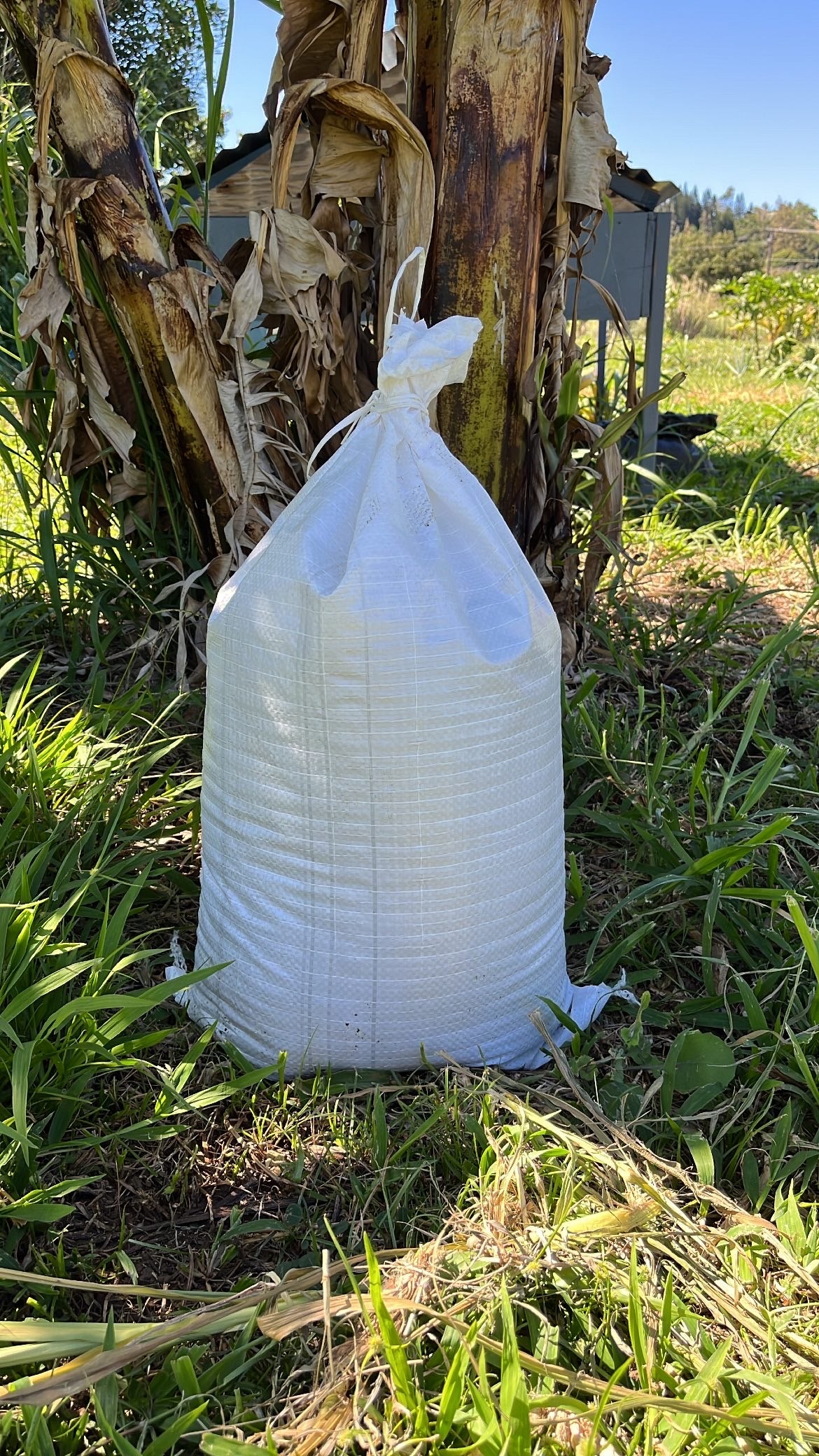 4.5 Gallon Bag Worm Castings
