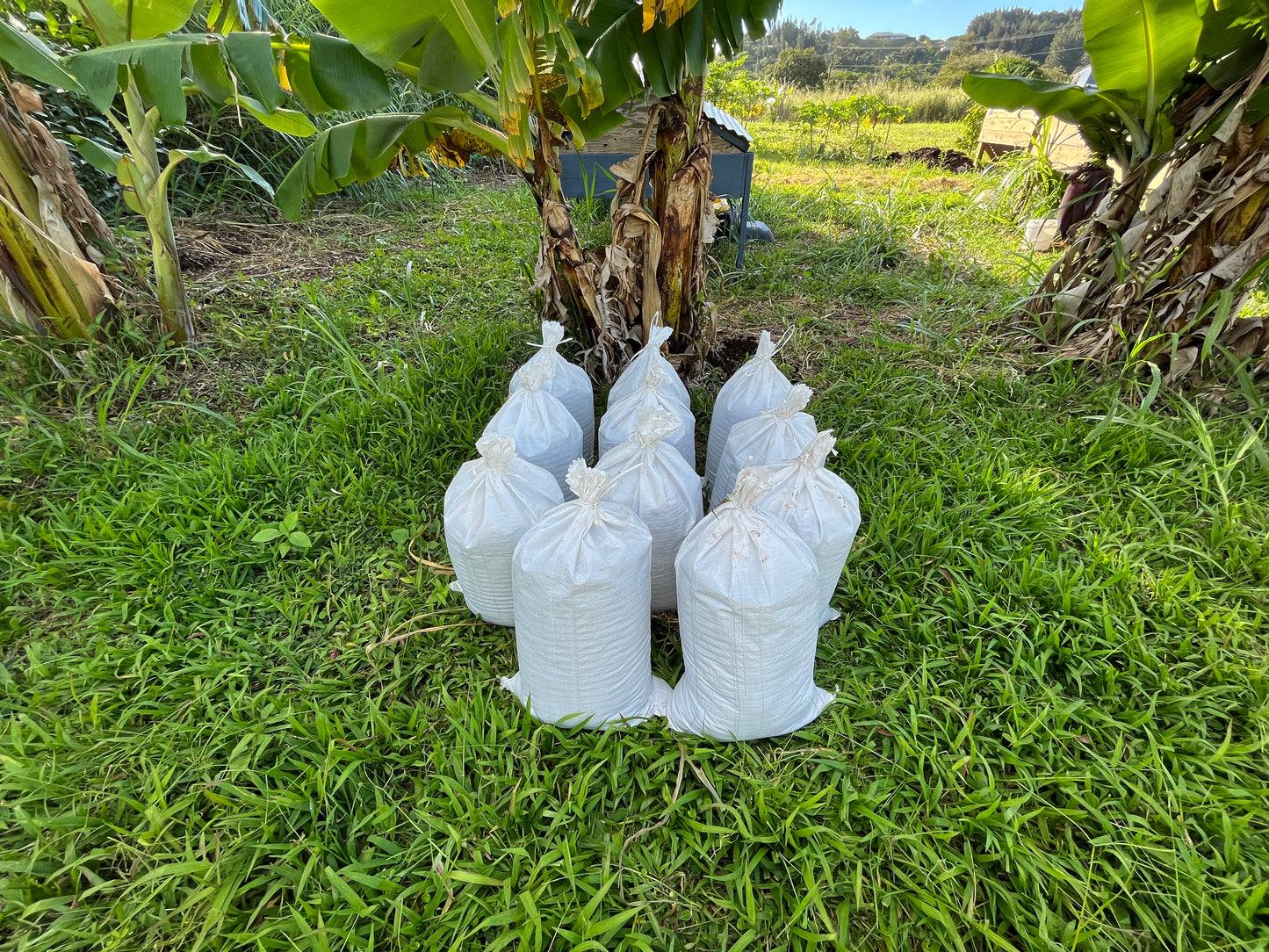 4.5 Gallon Bag Worm Castings