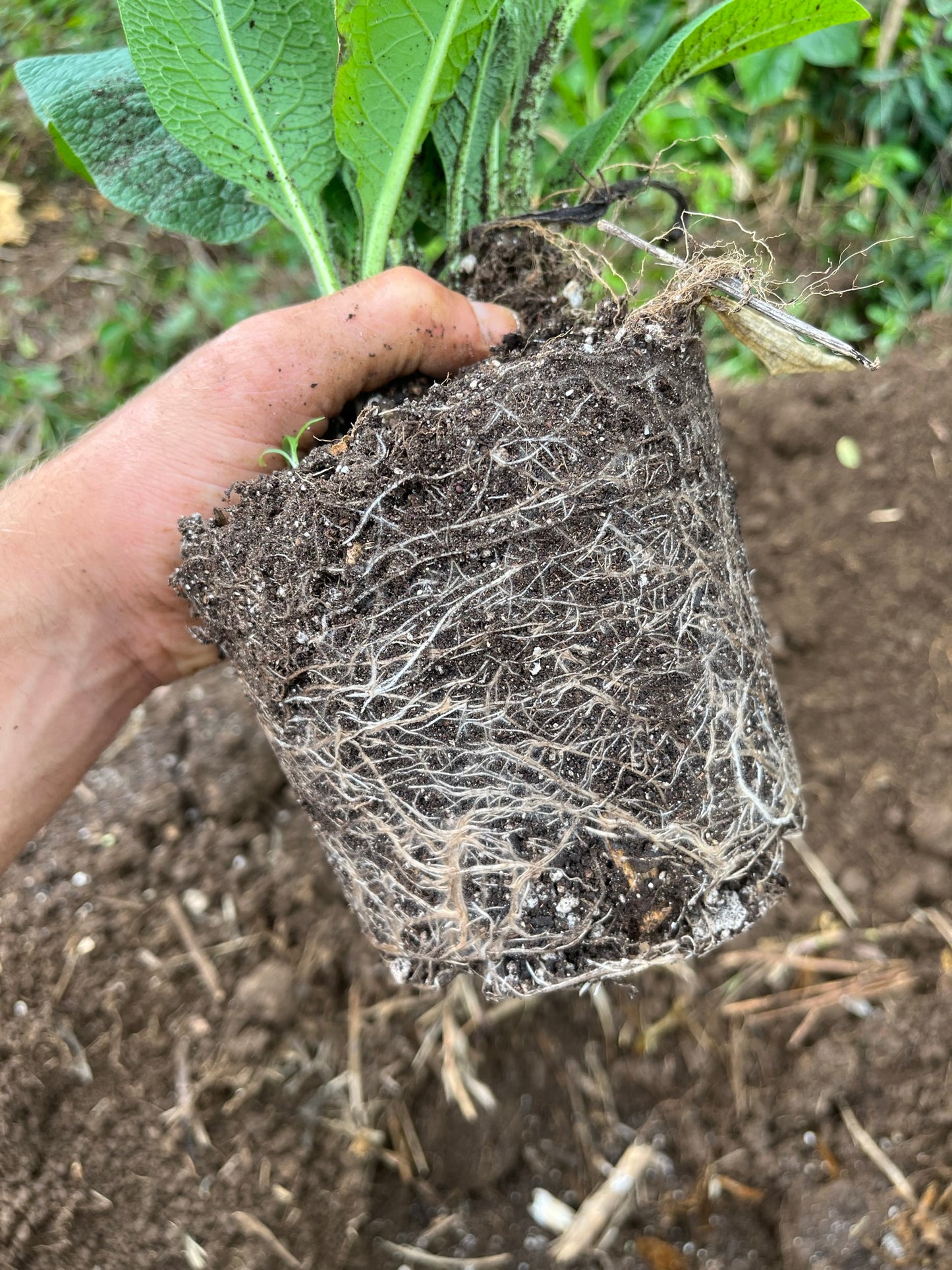 Garden Blend Potting Soil 3 CuFt