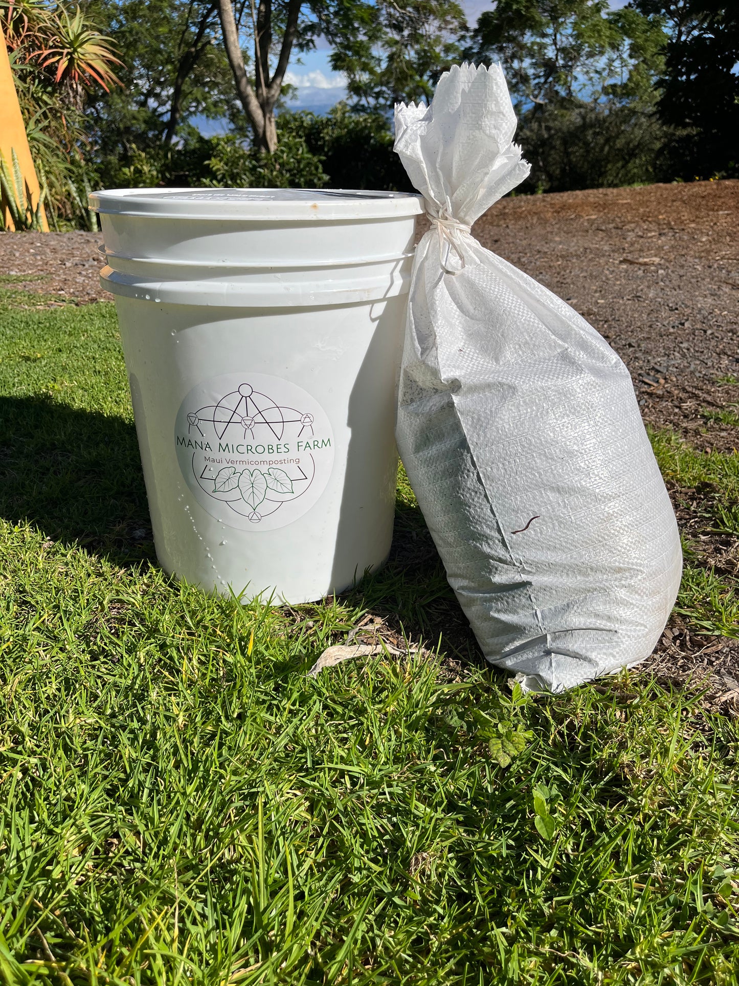 Curbside Composting Monthly Plan