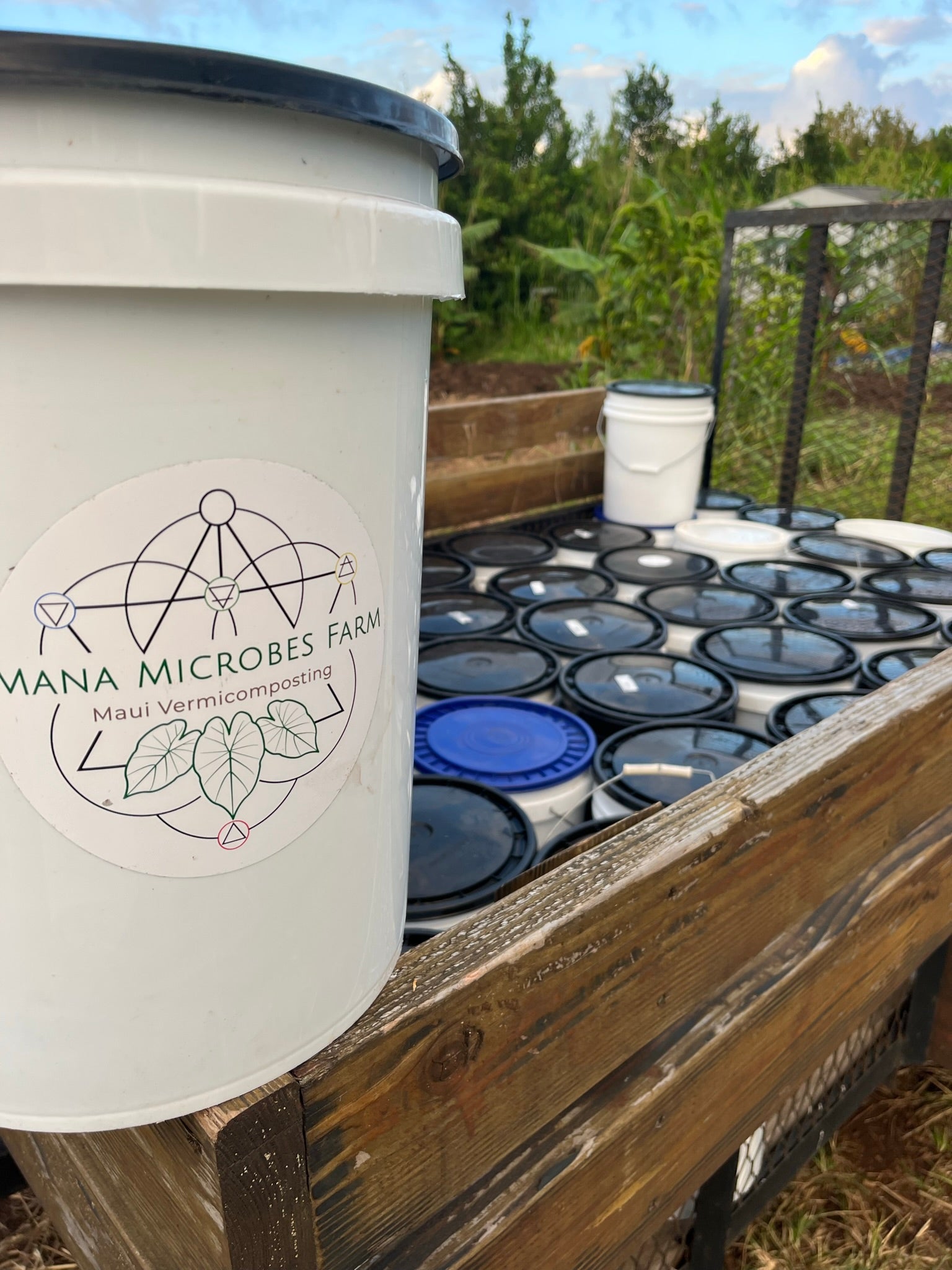 Curbside Composting Yearly – Garden Supplies & Compost