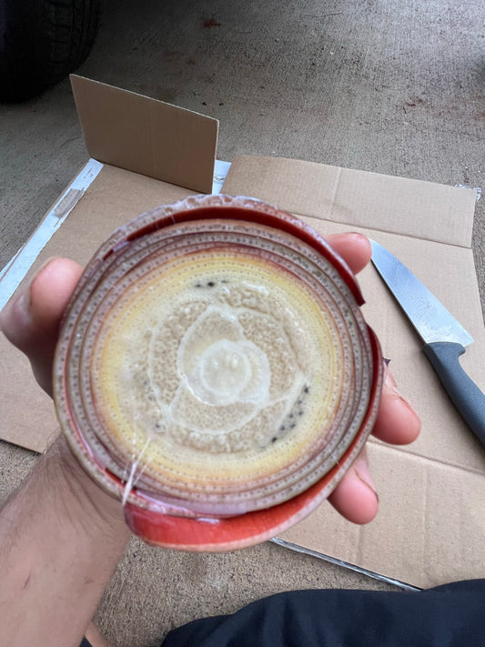 Fermented Plant Juice FPJ  (Banana Flower)
