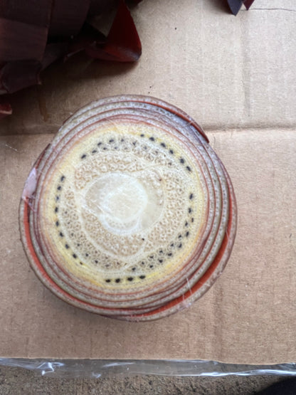 Fermented Plant Juice FPJ  (Banana Flower)