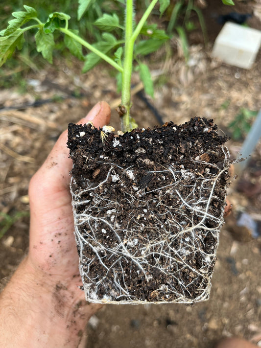 Garden Blend Potting Soil 3 CuFt