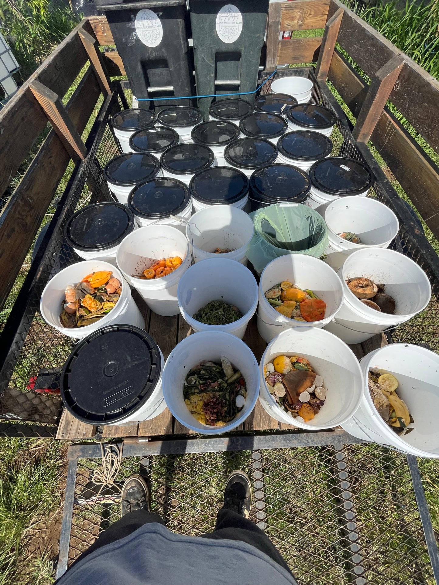 Curbside Composting Yearly